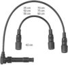 OPEL 1612585 Ignition Cable Kit